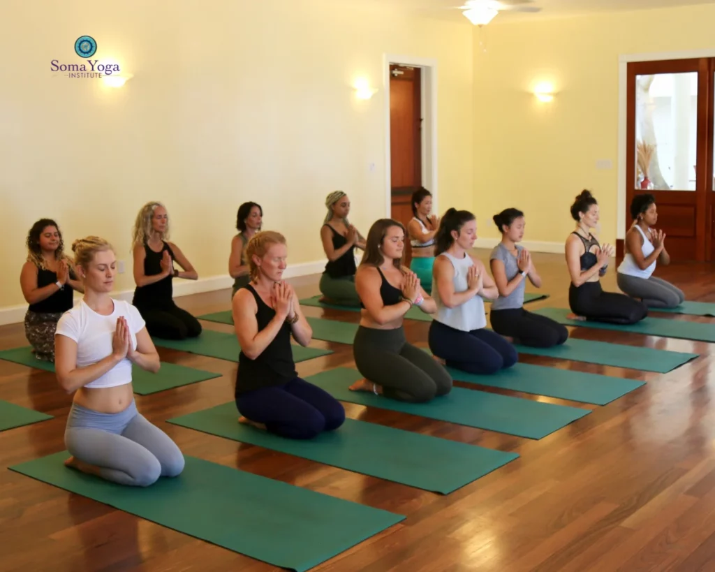 Study meditation and yoga anatomy in Soma Yoga Institute's 200-hour course