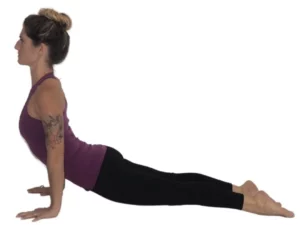Upward Facing Dog Pose in Yoga