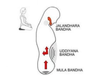 Yoga Bhandhas